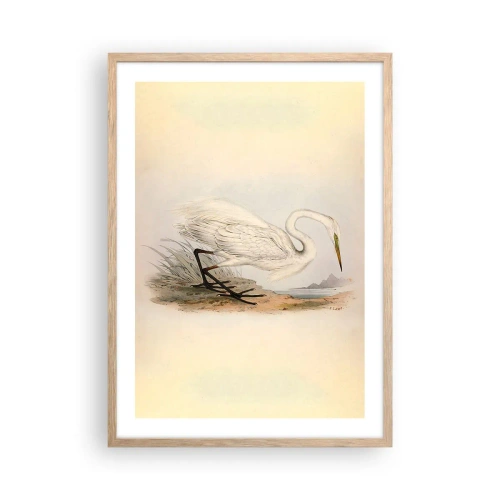 Plakát v rámu světlý dub - Paní rákosin - 50x70 cm