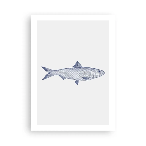 Plakát - Pozdravy ze severních moří - 50x70 cm