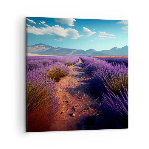 Obraz na plátně - Voňavá pole - 50x50 cm