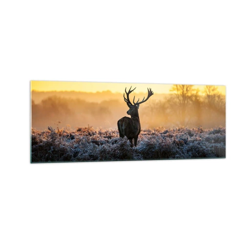 Obraz na skle - Korunován na svém panství - 140x50 cm