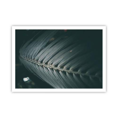 Plakát - Přesnost přírody - 100x70 cm