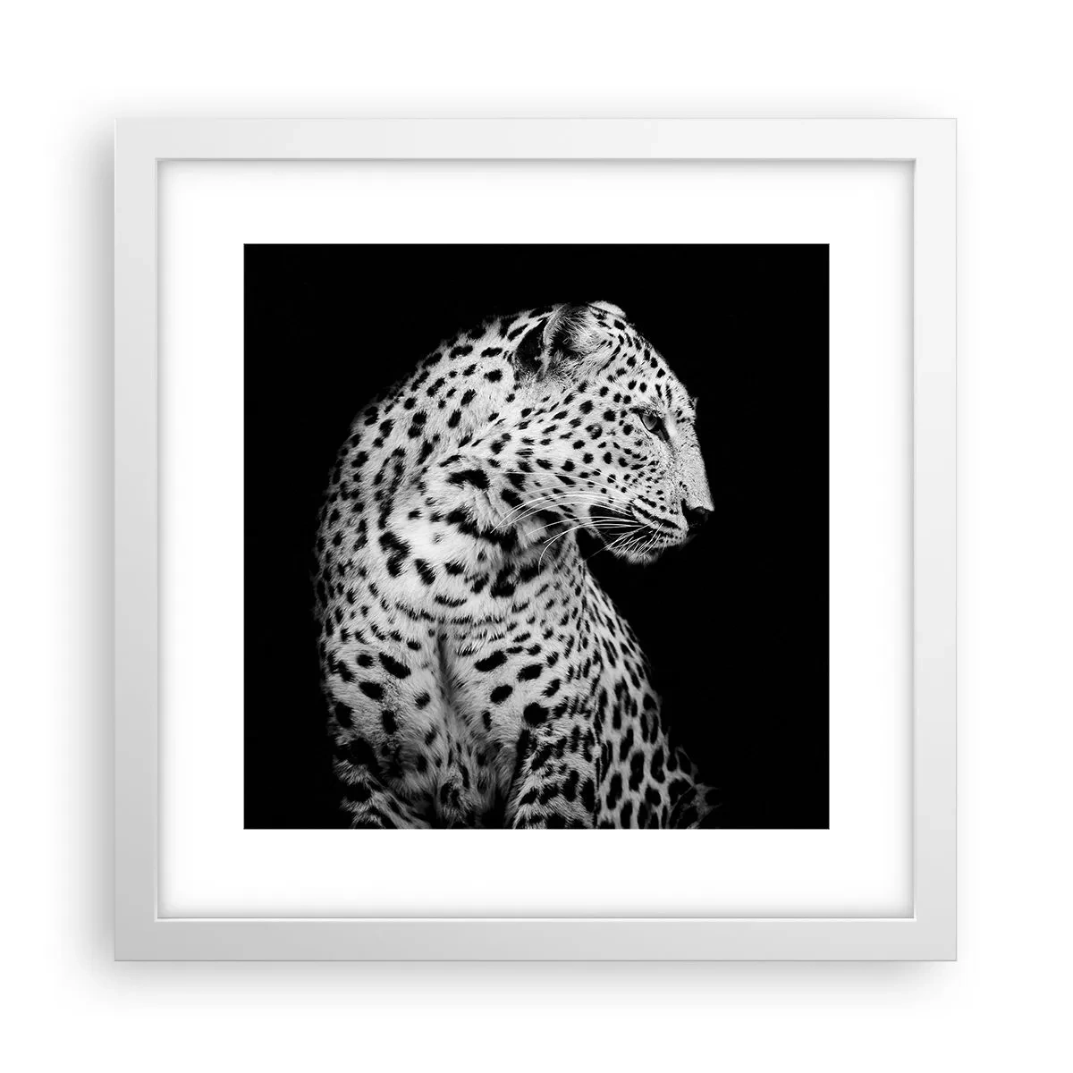 Plakát v bílém rámu - Pravý profil perfektní! - 30x30 cm