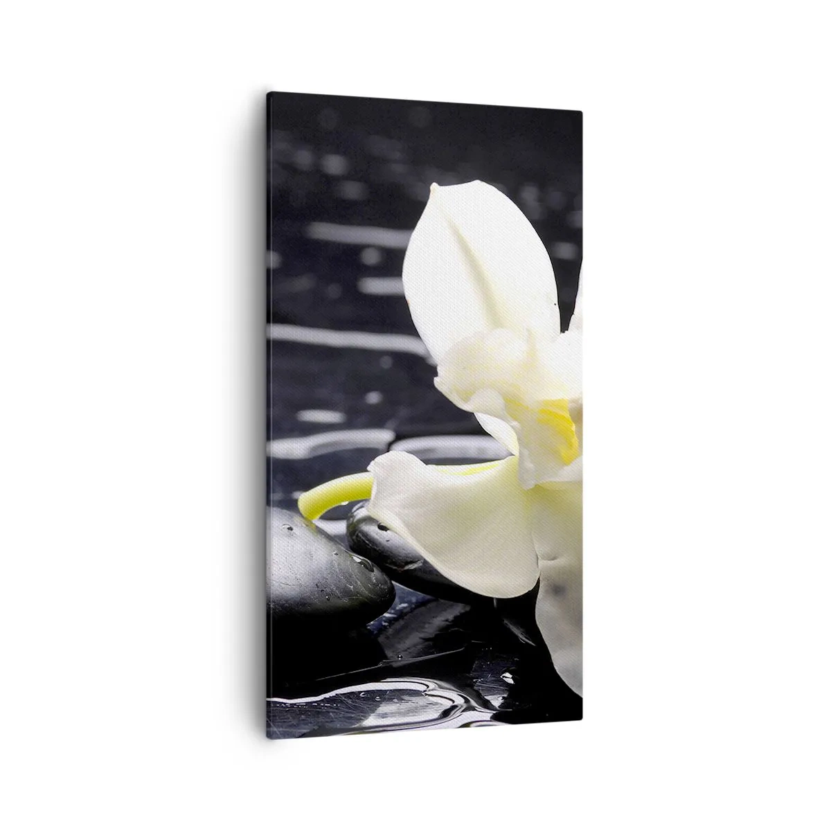 Obraz na plátně - Studie v černé a bílé - 55x100 cm