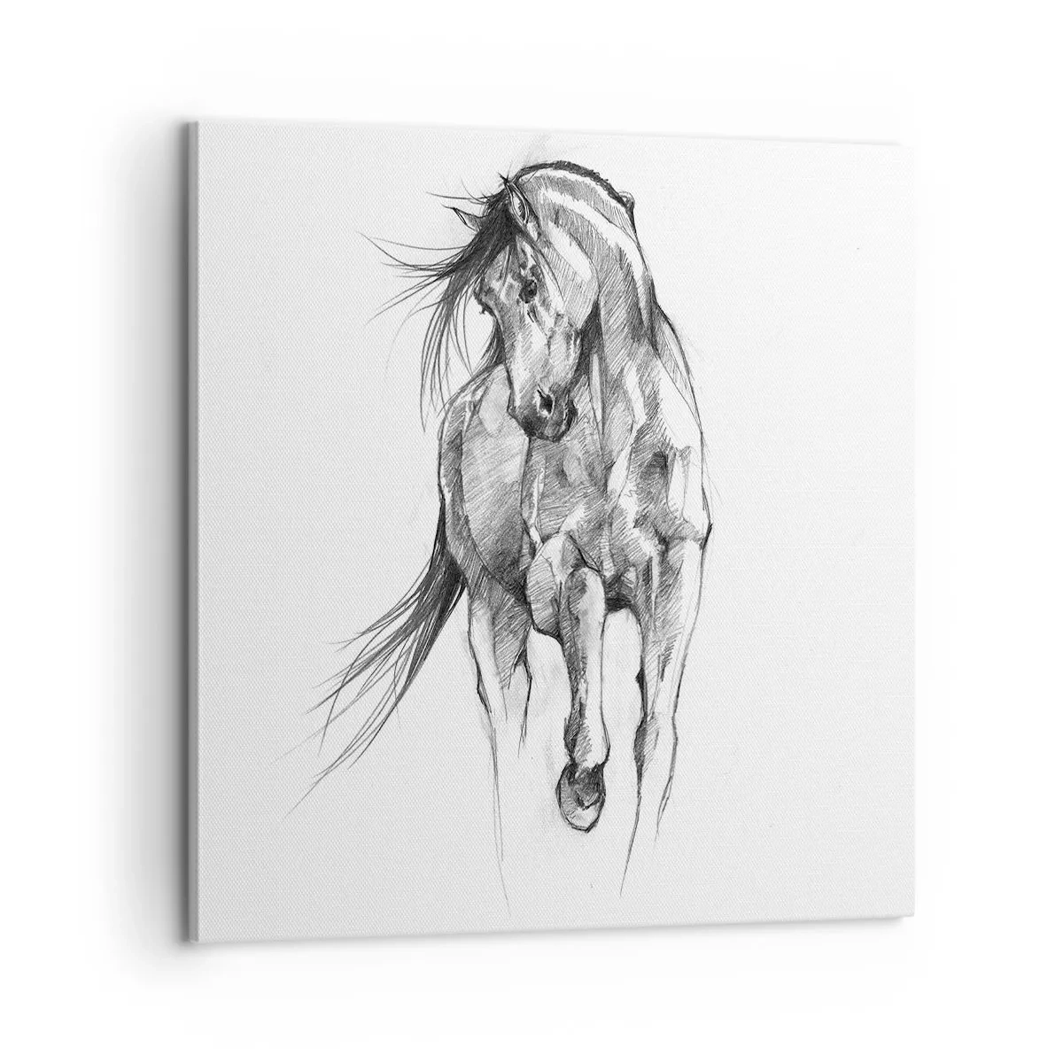 Obraz na plátně - V ladném klusu - 60x60 cm