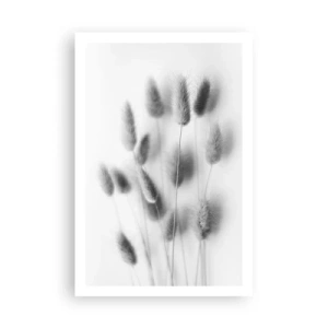 Plakát - Její načechranost tráva - 61x91 cm