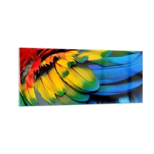 Obraz na skle - Nebeský pták - 100x40 cm