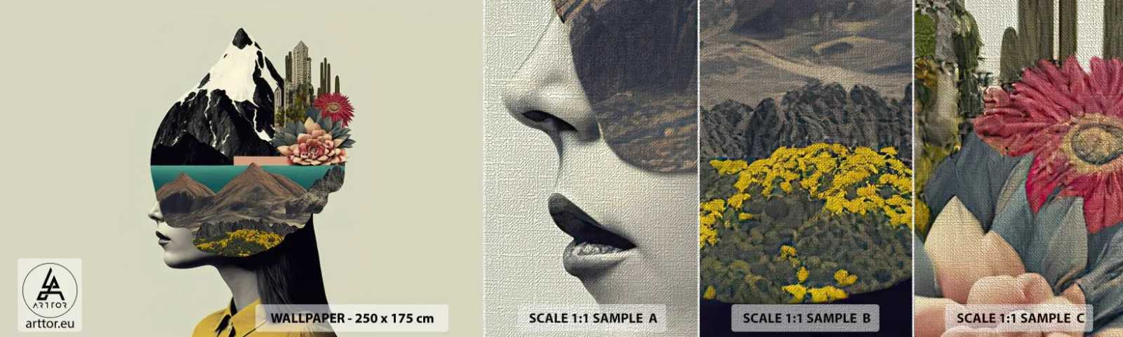 Vzor Fototapety Premium Canvas - Žena – vždy tajemství - hory, Mysl, Hlava - 100x30 cm