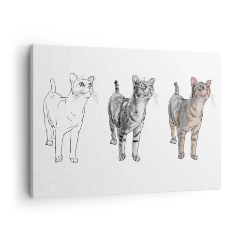 Obraz na plátně - Vývoj kresby kočky od skici k barevné podobě - 70x50cm - Hodina kreslení - Moderní nástěnná dekorace do obývacího pokoje a ložnice ARTTOR
