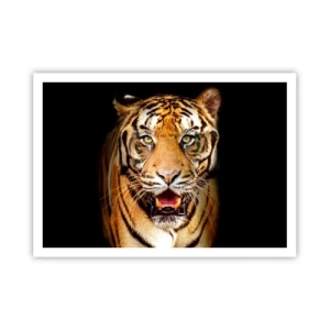 Plakát - Divokost srdce - 100x70 cm