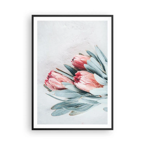 Plakát v černém rámu - Zahanbené svou vlastní krásou - 70x100 cm