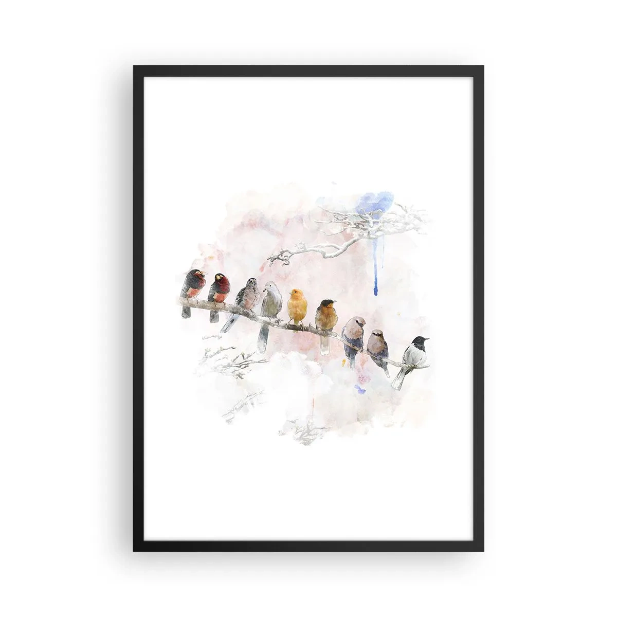 Plakát v černém rámu - Ptáci sedící na větvi ve stylu akvarelu - 50x70cm - Okřídlené setkání - Moderní nástěnná dekorace do obývacího pokoje a ložnice ARTTOR