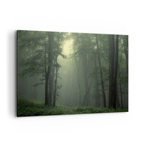 Obraz na plátně - Než se probudí - 100x70 cm