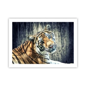 Plakát - Portrét v pramenech světla - 70x50 cm