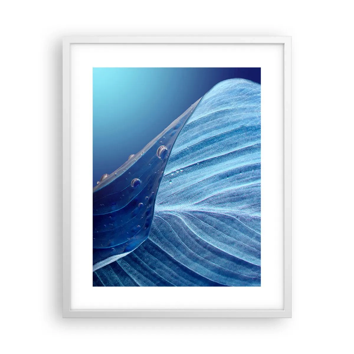 Plakát v bílém rámu - Skryté kapky modři - 40x50 cm