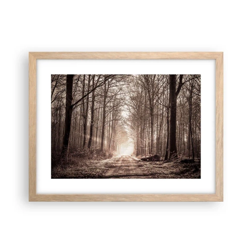 Plakát v rámu světlý dub - Lesní katedrála - 40x30 cm