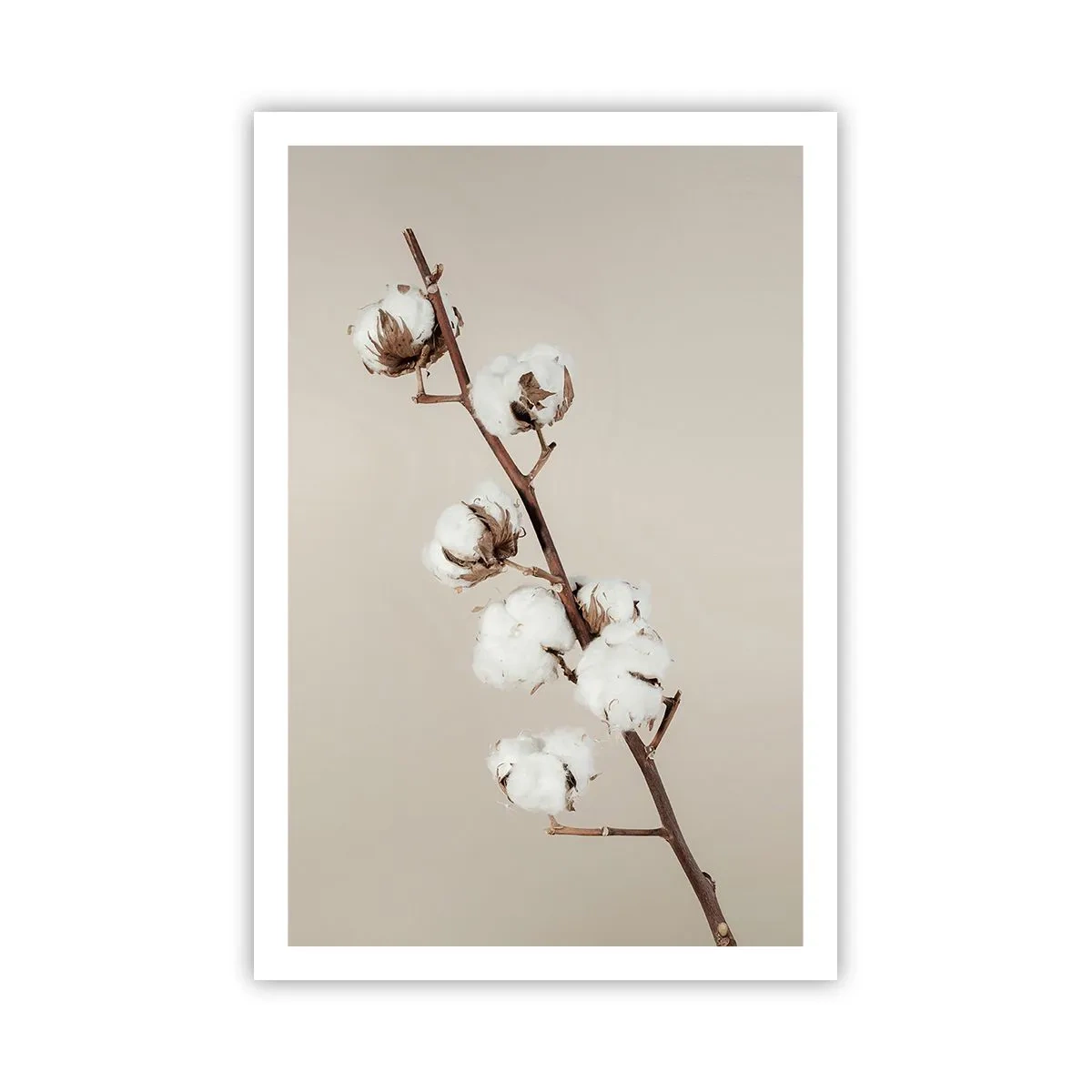 Plakát - U zdroje měkkosti - 61x91 cm