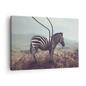Obraz na plátně - Surrealistická zebra proti travnaté krajině - 70x50cm - Pozor! Porucha - Moderní nástěnná dekorace do obývacího pokoje a ložnice ARTTOR