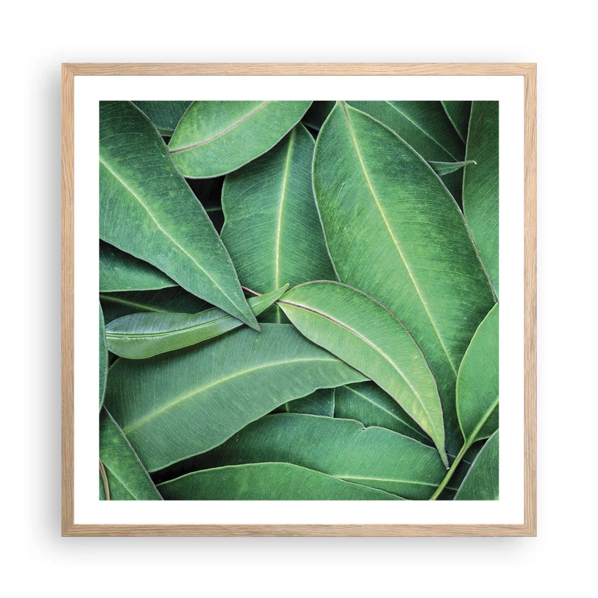 Plakát v rámu světlý dub - Šťavnaté a svěží - 60x60 cm
