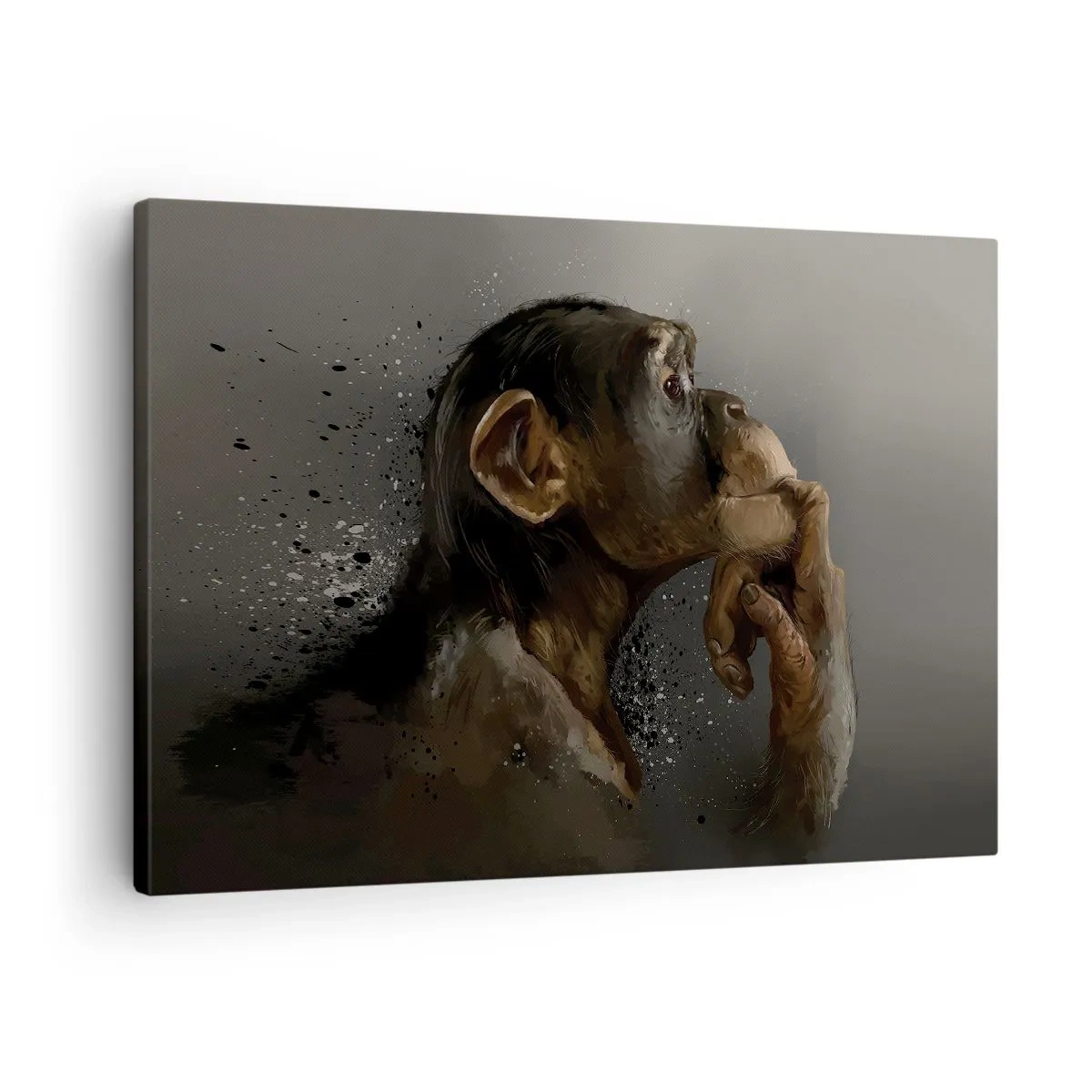 Obraz na plátně - Portrét opice v reflexní póze na šedém pozadí - 70x50cm - Určitě myslitel - Moderní nástěnná dekorace do obývacího pokoje a ložnice ARTTOR
