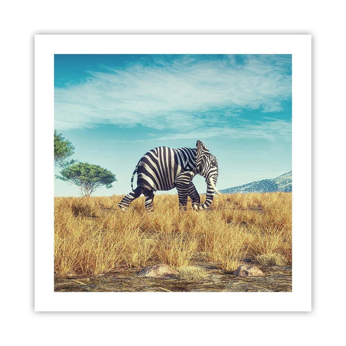 Plakát - Šedá už není v módě - 50x50 cm