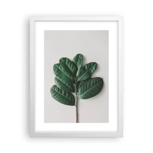 Plakát v bílém rámu - Kresba samotné přírody - 30x40 cm