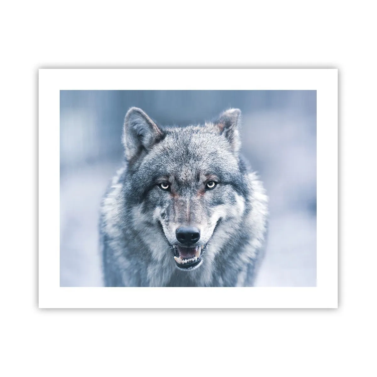 Plakát - Přijmete tuto výzvu? - 50x40 cm