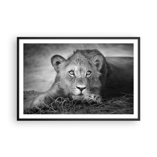 Plakát v černém rámu - Královské štěně - 91x61 cm