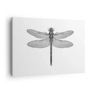 Obraz na plátně - Černobílá kresba vážky na bílém pozadí v minimalistickém stylu - 70x50cm - Přesnost přírody - Moderní nástěnná dekorace do obývacího pokoje a ložnice ARTTOR