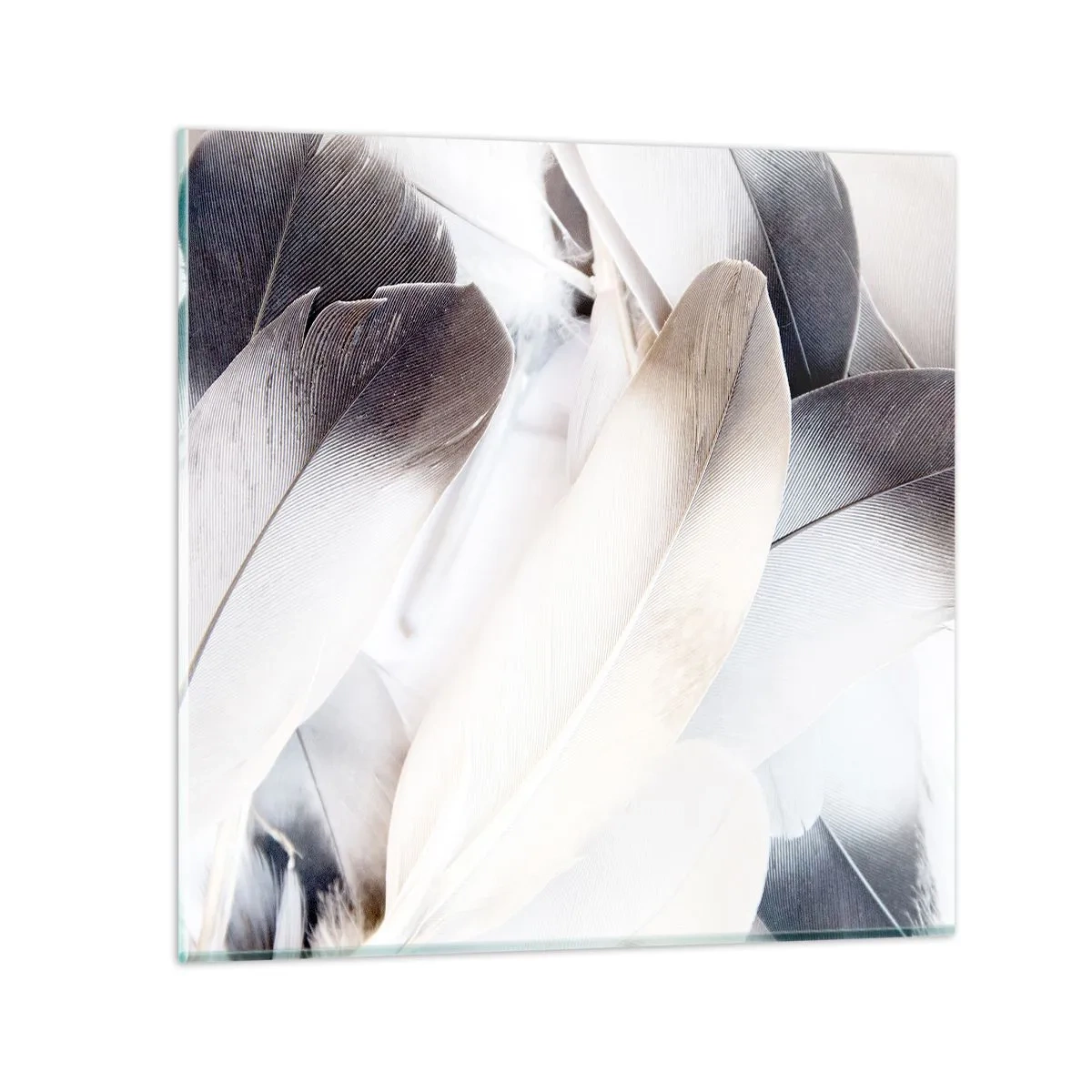 Obraz na skle - Téměř andělské - 70x70 cm