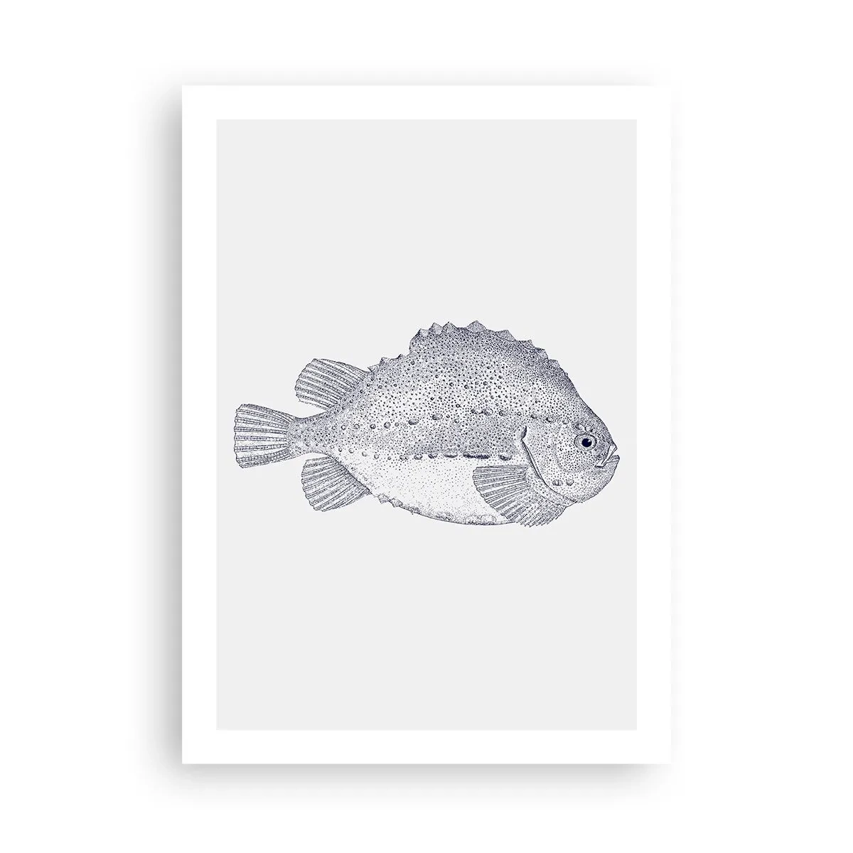 Plakát - Do alba přírodovědce - 50x70 cm