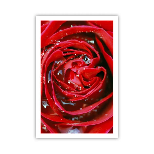 Plakát - V kapkách rosy - 61x91 cm