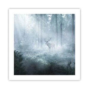 Plakát - Ranní obchůzka sídliště - 50x50 cm