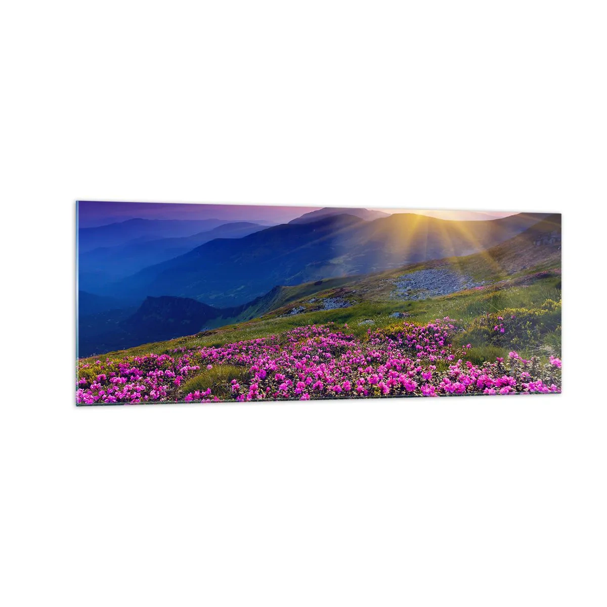 Obraz na skle - …A kolem voní kosodřevina a voní byliny - 140x50 cm