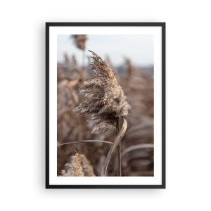 Plakát v černém rámu - Detail suchého rákosí v přirozených odstínech proti obloze - 50x70cm - Čas odletět s větrem - Moderní nástěnná dekorace do obývacího pokoje a ložnice ARTTOR