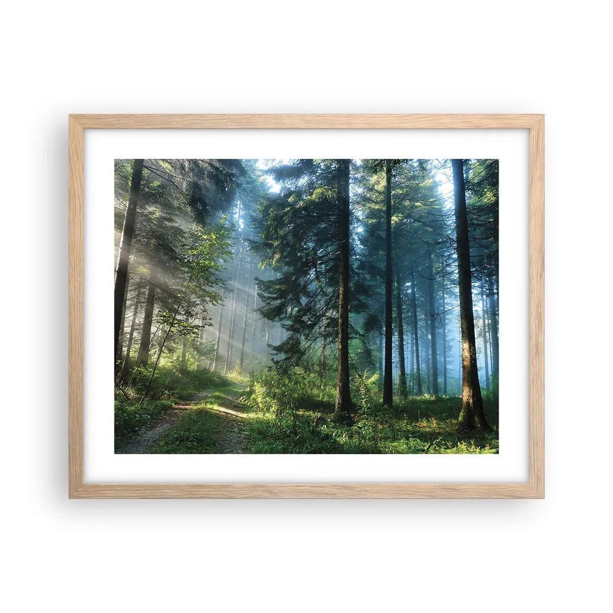 Plakát v rámu světlý dub - Zářící za úsvitu - 50x40 cm