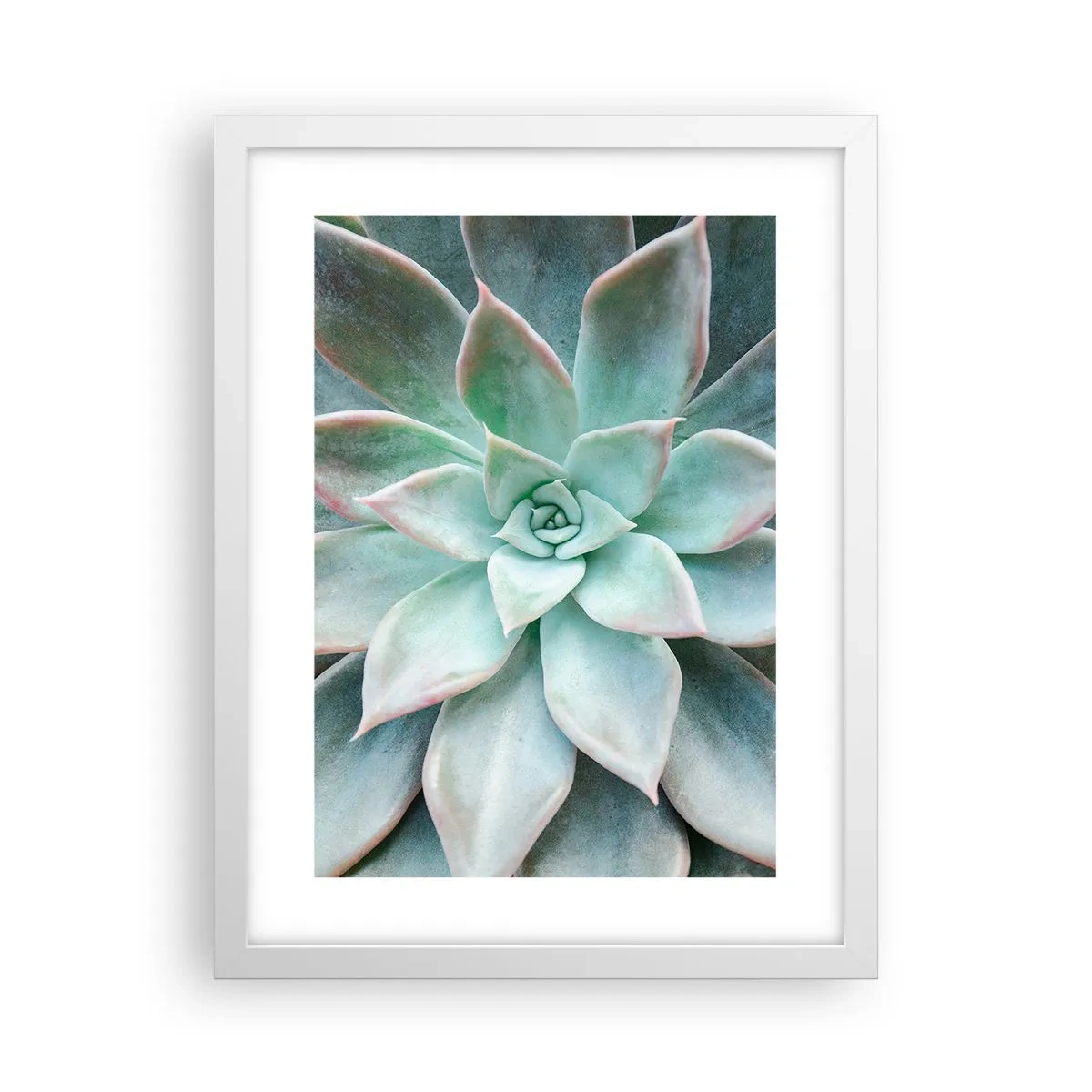 Plakát v bílém rámu - Srdce pouště - 30x40 cm