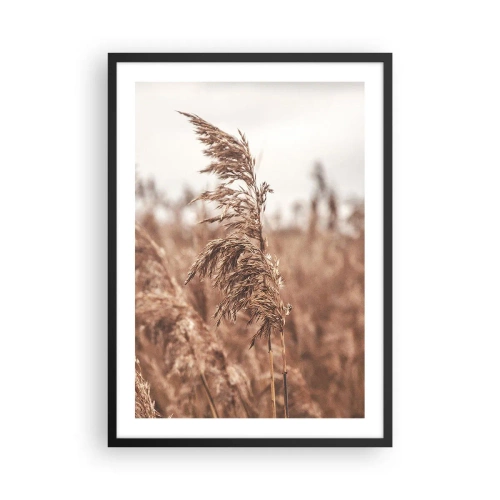 Plakát v černém rámu - Tráva proti mlhavé krajině v přírodních barvách - 50x70cm - Na polích už je podzim - Moderní nástěnná dekorace do obývacího pokoje a ložnice ARTTOR