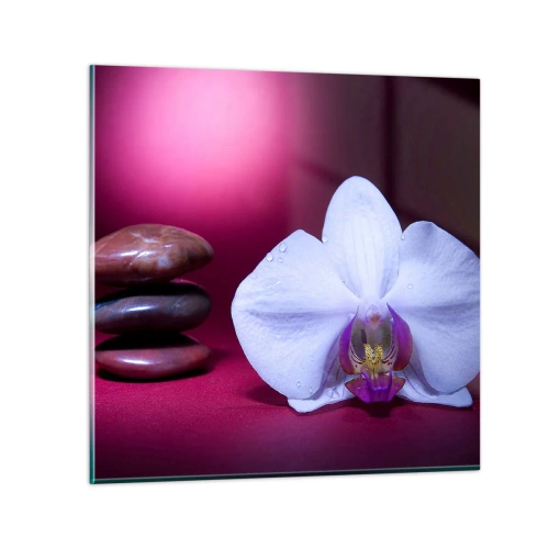 Obraz na skle - Studie svěžesti ve fialové - 30x30 cm