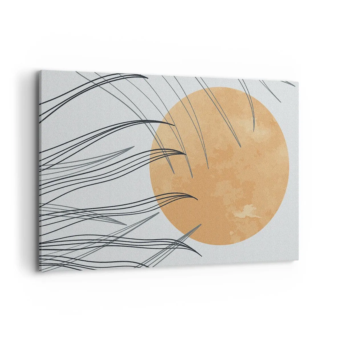 Obraz na plátně - Vždy ke slunci - 120x80 cm