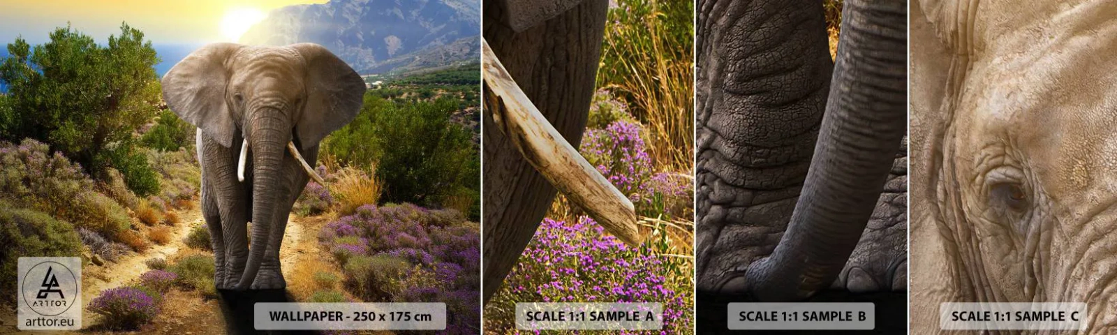 Fototapeta Vzorek Standard Eco - Tak vypadal Ráj - Zvířata, Slon, Safari - 100x30 cm