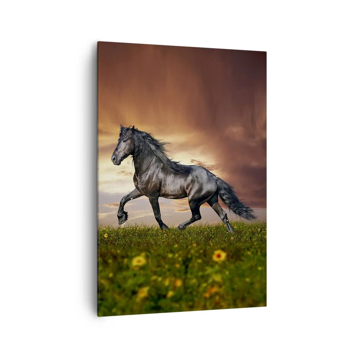 Obraz na plátně - Černý kníže - 70x100 cm