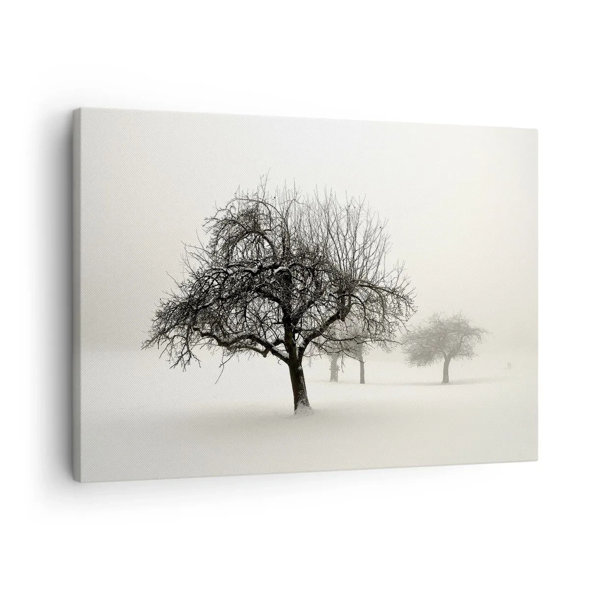 Obraz na plátně - Stromy na zasněženém poli obklopeném mlhou - 70x50cm - Zimní sen - Moderní nástěnná dekorace do obývacího pokoje a ložnice ARTTOR