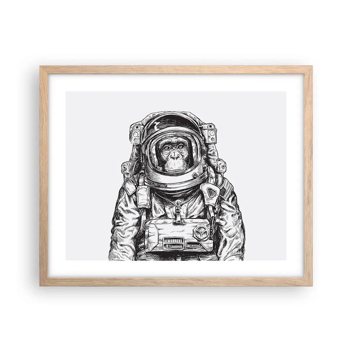 Plakát v rámu světlý dub - Alternativní vývoj - 50x40 cm