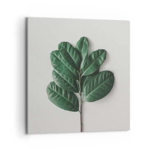 Obraz na plátně - Kresba samotné přírody - 60x60 cm