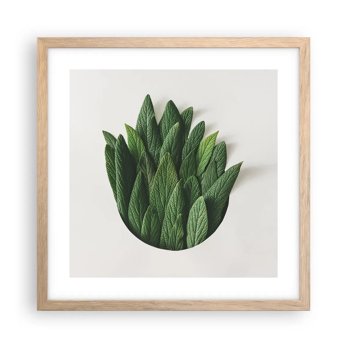 Plakát v rámu světlý dub - Neukojitelná zvědavost - 40x40 cm