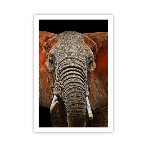 Plakát - Jsem divoký, a ty? - 61x91 cm