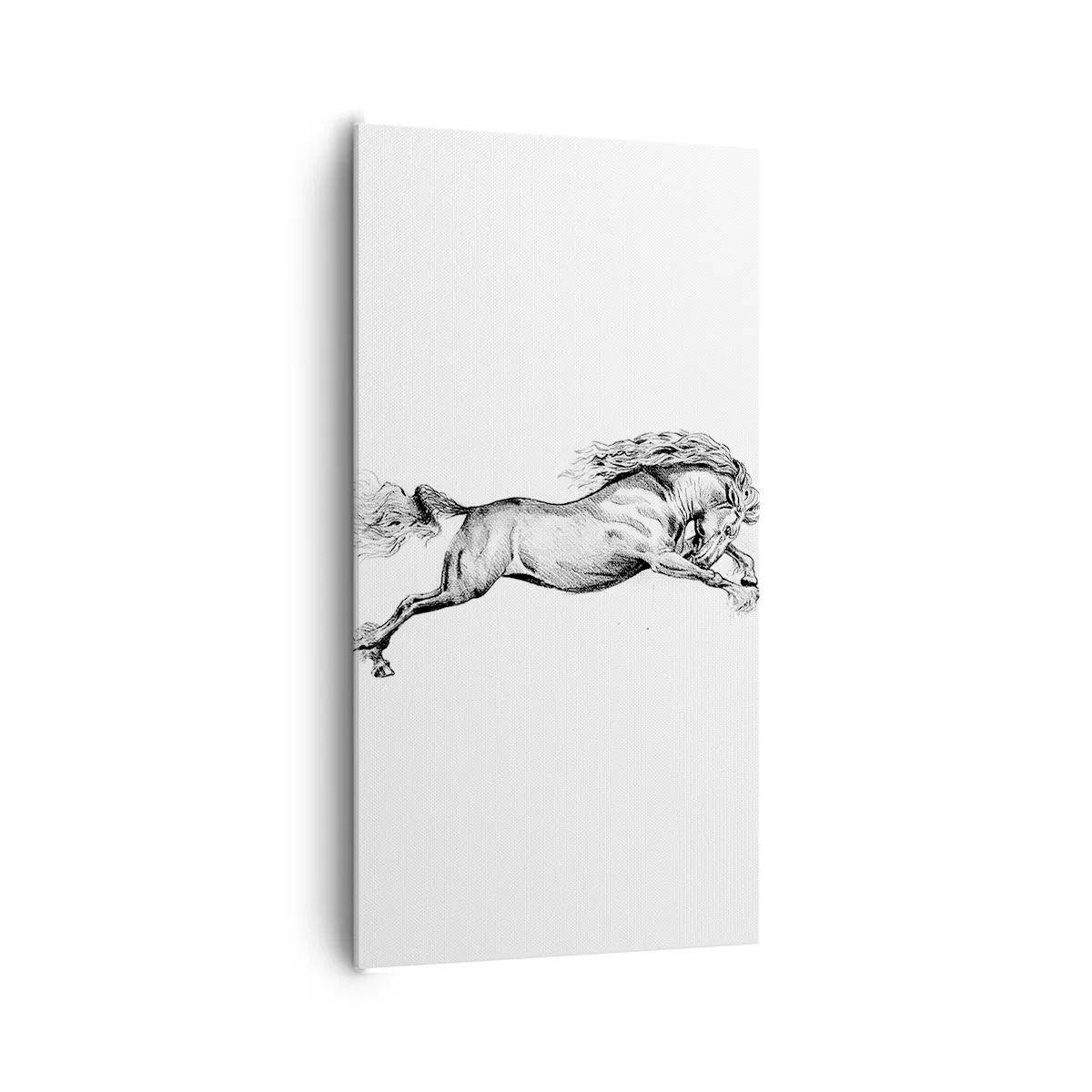 Obraz na plátně - Zastavený v cvalu - 65x120 cm