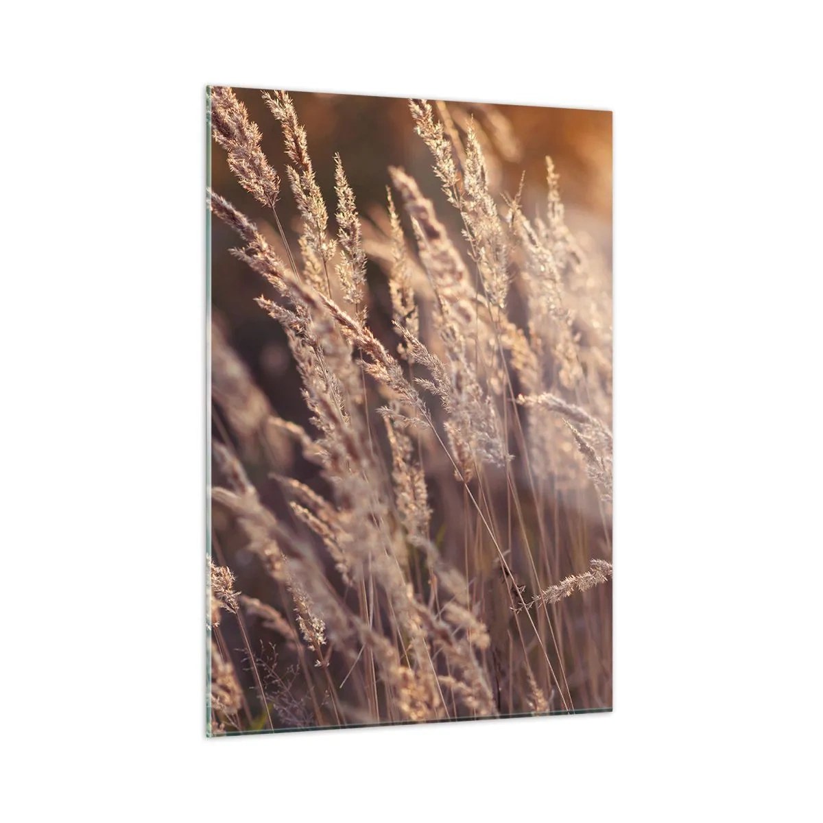 Obraz na skle - Připraveni přivítat podzim - 50x70 cm