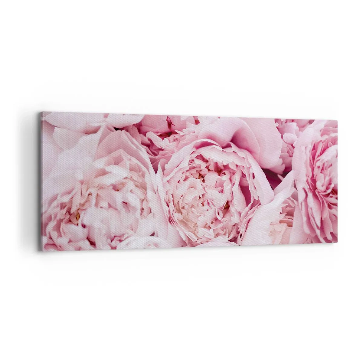 Obraz na plátně - Přitulené a voňavé - 100x40 cm