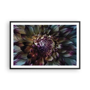 Plakát v černém rámu - Rozkvět mládí - 91x61 cm